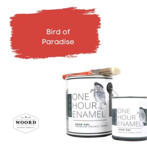 Ακρυλικό σμάλτο νερού ταχείας στέγνωσης με ενσωματωμένο βερνίκι – Red | Bird of Paradise – Wise Owl Paint