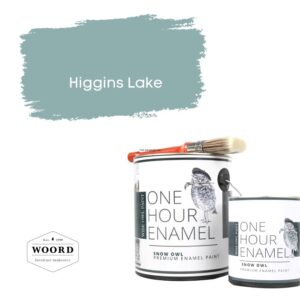 Ακρυλικό σμάλτο νερού ταχείας στέγνωσης με ενσωματωμένο βερνίκι – Blue/ Green | Higgins Lake – Wise Owl Paint