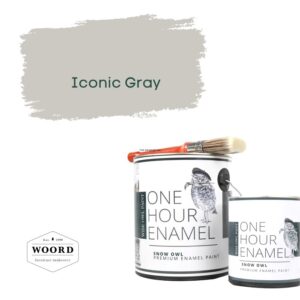 Ακρυλικό σμάλτο νερού ταχείας στέγνωσης με ενσωματωμένο βερνίκι –Light Gray | Iconic Gray – Wise Owl Paint