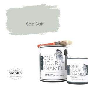 Ακρυλικό σμάλτο νερού ταχείας στέγνωσης με ενσωματωμένο βερνίκι – Soft Gray | Sea Salt – Wise Owl Paint