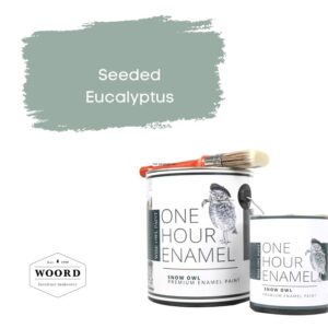 Ακρυλικό σμάλτο νερού ταχείας στέγνωσης με ενσωματωμένο βερνίκι – Light Blue/Green | Seeded Eucalyptus – Wise Owl Paint