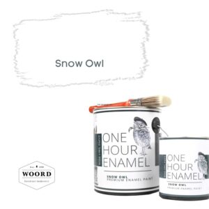 Ακρυλικό σμάλτο νερού ταχείας στέγνωσης με ενσωματωμένο βερνίκι – White | Snow Owl – Wise Owl Paint