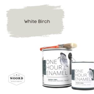 Ακρυλικό σμάλτο νερού ταχείας στέγνωσης με ενσωματωμένο βερνίκι – Light Gray | White Birch – Wise Owl Paint