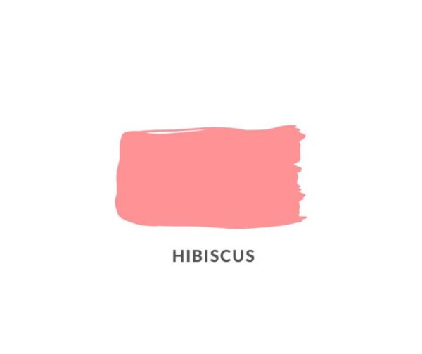Οικολογικό χρώμα με άργιλο και κιμωλία - Hibiscus | COASTAL by Worn to Whimsy – Daydream Apothecary Paint