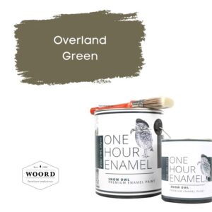 Ακρυλικό σμάλτο νερού ταχείας στέγνωσης με ενσωματωμένο βερνίκι – Green/Gray | Overland Green – Wise Owl Paint