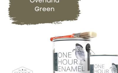 “NEW” Fast drying acrylic water enamel with built-in varnish – Green/Gray | Overland Green – Wise Owl Paint