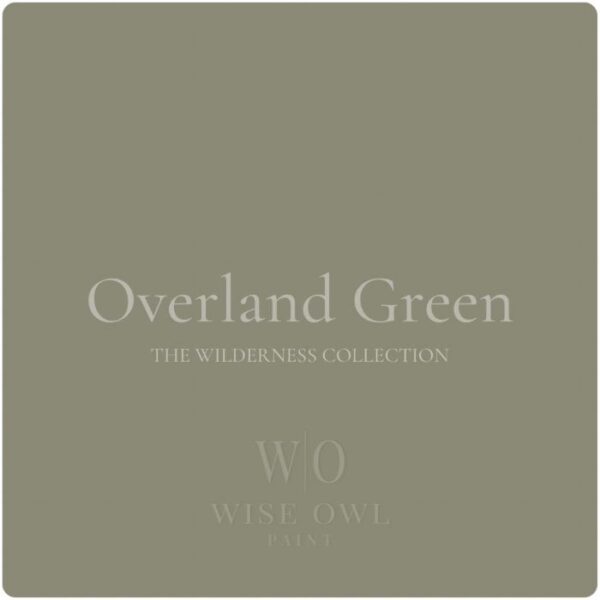 Ακρυλικό σμάλτο νερού ταχείας στέγνωσης με ενσωματωμένο βερνίκι –  Green/Gray | Overland Green – Wise Owl Paint
